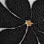 Framed Black Floral Embroidered Canvas Wall Art, 19x25