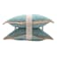 2-Pack Canal Blue Jute Trim Outdoor Throw Pillow, 18"