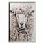 Glass Framed White Highland Sheep Paper Wall Art, 25x37