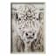 Glass Framed Highland Fluffy Cow Paper Wall Art, 25x37