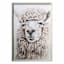 Glass Framed Highland Llama Paper Print Wall Art, 25x37