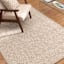 (B896) Providence Wayland Cosette Area Rug, 5x7