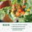 Back to Roots Premium Blend Organic Potting Mix