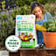 Back to Roots Premium Blend Organic Potting Mix