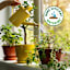 Back to Roots Premium Blend Organic Potting Mix