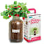 Back to Roots Windowsill Organic Strawberry Grow Kit