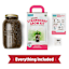 Back to Roots Windowsill Organic Strawberry Grow Kit