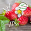 Back to Roots Windowsill Organic Strawberry Grow Kit