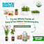 Back to Roots Windowsill Organic Strawberry Grow Kit