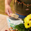 Back to Starts Organic All Purpose Plant Food, 1.5lb
