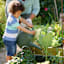 Back to Starts Organic All Purpose Plant Food, 1.5lb