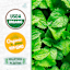 Back to Roots Heirlooms Seeds, Mint Peppermint