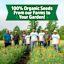 Back to Roots Heirlooms Seeds, Mint Peppermint