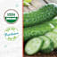 Back to Roots Heirloom Seeds, Cucumber