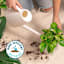 Back to Roots Organic Indoor Potting Mix, 6qt