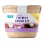 Back to Roots Organic Cosmos Growing Kit