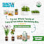 Back to Roots Organic Cosmos Growing Kit