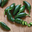 Back to Roots Heirloom Seeds, Pepper Hot Jalapeno Chili Pepper