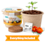 Back to Roots Organic Marigold Grow Kit