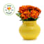 Back to Roots Organic Marigold Grow Kit