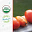 Back to Roots Heirloom Seeds, Tomato Roma