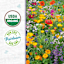 Back to Roots Heirloom Seeds, Wildflower Mix