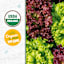 Back to Roots Heirloom Seeds, Mixed Lettuce Gourmet Blend