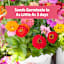 Back to Roots Organic Zinnia Grow Kit