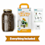 Back to Roots Windowsill Organic Sunflower Grow Kit