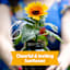 Back to Roots Windowsill Organic Sunflower Grow Kit
