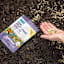 Back to Roots Organic Wildflower Seed Mix Value, 1.4oz
