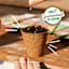 Back to Roots Heirloom Seeds, Chives Garlic