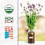 Back to Roots Windowsill Organic Lavender Grow Kit