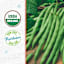 Back to Roots Heirloom Seeds, Bean Blue Lake Bush Green