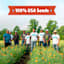 Back to Roots Heirloom Seeds, Bean Blue Lake Bush Green
