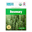Back to Roots Heirloom Seeds, Rosemary