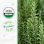 Back to Roots Heirloom Seeds, Rosemary