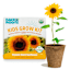 Back to Roots Kids Grow Kit, Sunflower