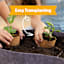 Back to Roots Kids Grow Kit, Sunflower