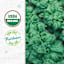 Back to Roots Heirloom Seeds, Spinach Bloomsdale