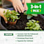 Back to Roots Organic 3-In-1Seed Starting Mix, 12qt