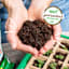Back to Roots Organic 3-In-1Seed Starting Mix, 12qt