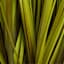 Green Grass Bundle with Grey Planter, 31"