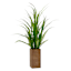 Green Grass Bundle with Wooden Planter, 46"