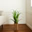 Green Grass Bundle with Wooden Planter, 46"