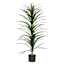 Yucca Tree with Black Planter, 48"
