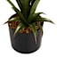 Yucca Tree with Black Planter, 48"