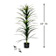 Yucca Tree with Black Planter, 48"