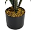 Yucca Tree with Black Planter, 33"