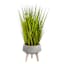 Found & Fable Green Grass Bundle with Cement Pot, 34"